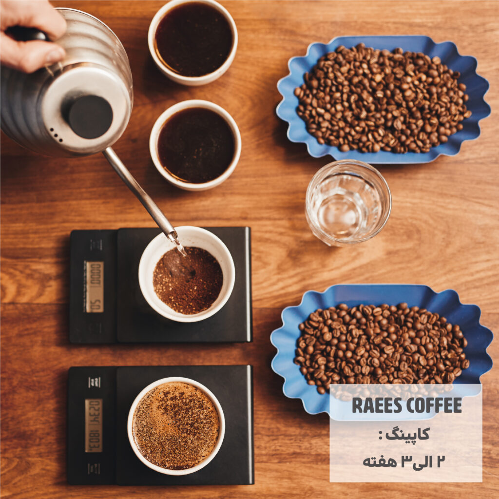 کاپینگ قهوه . از کاشت تا برداشت قهوه